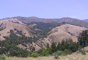 Big Creek hills